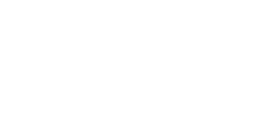COLUSSI ERMES logo